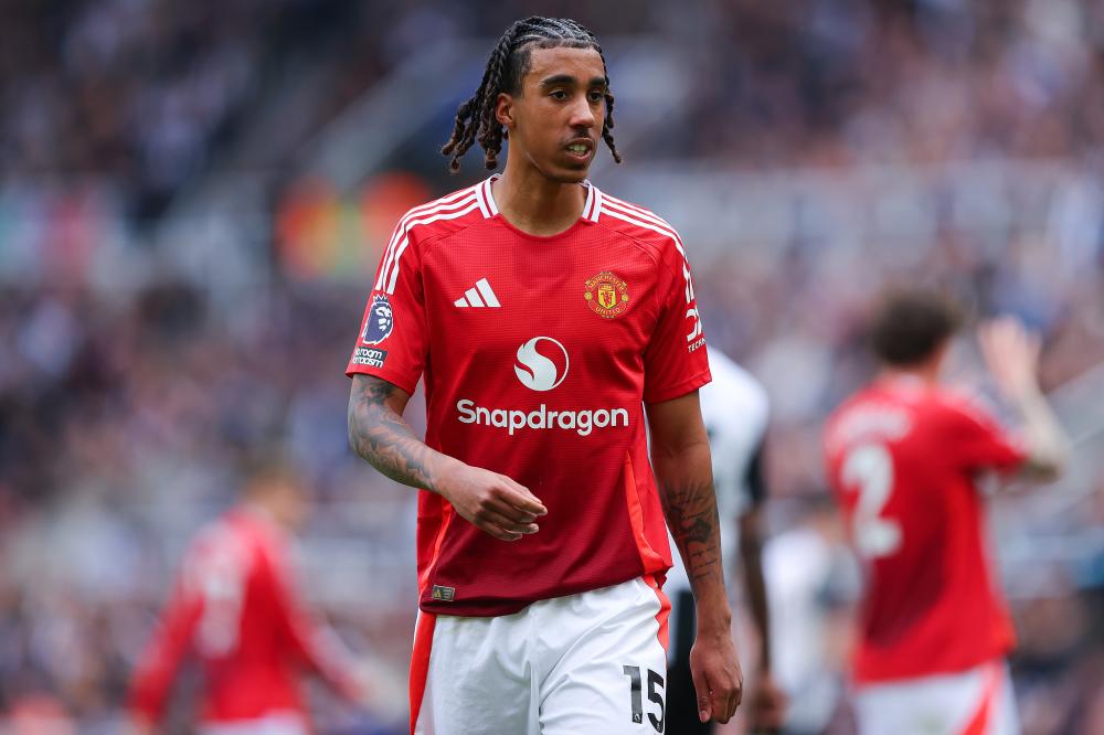 中与灰熊展 中与灰熊展